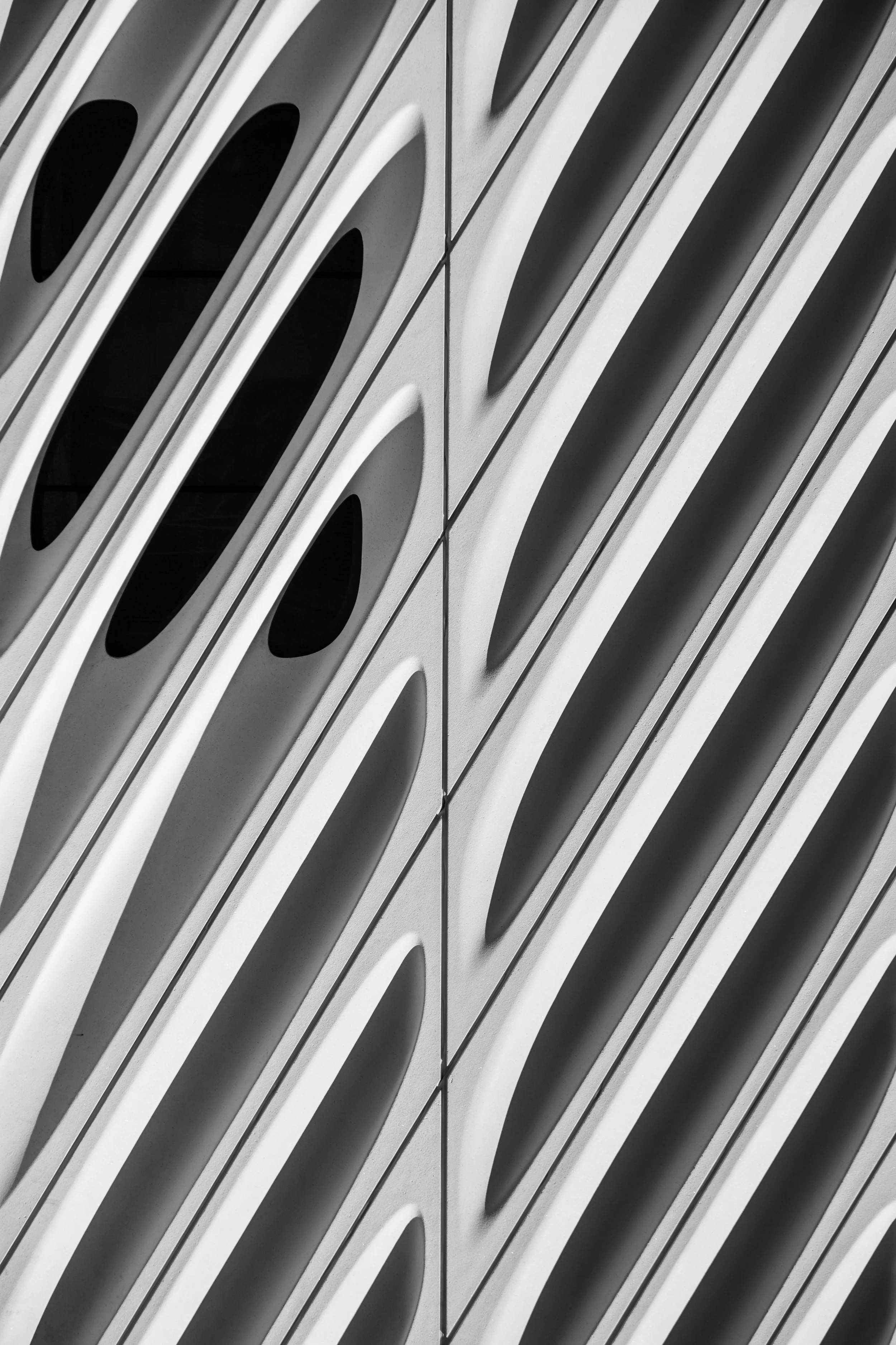 broad-3.jpg