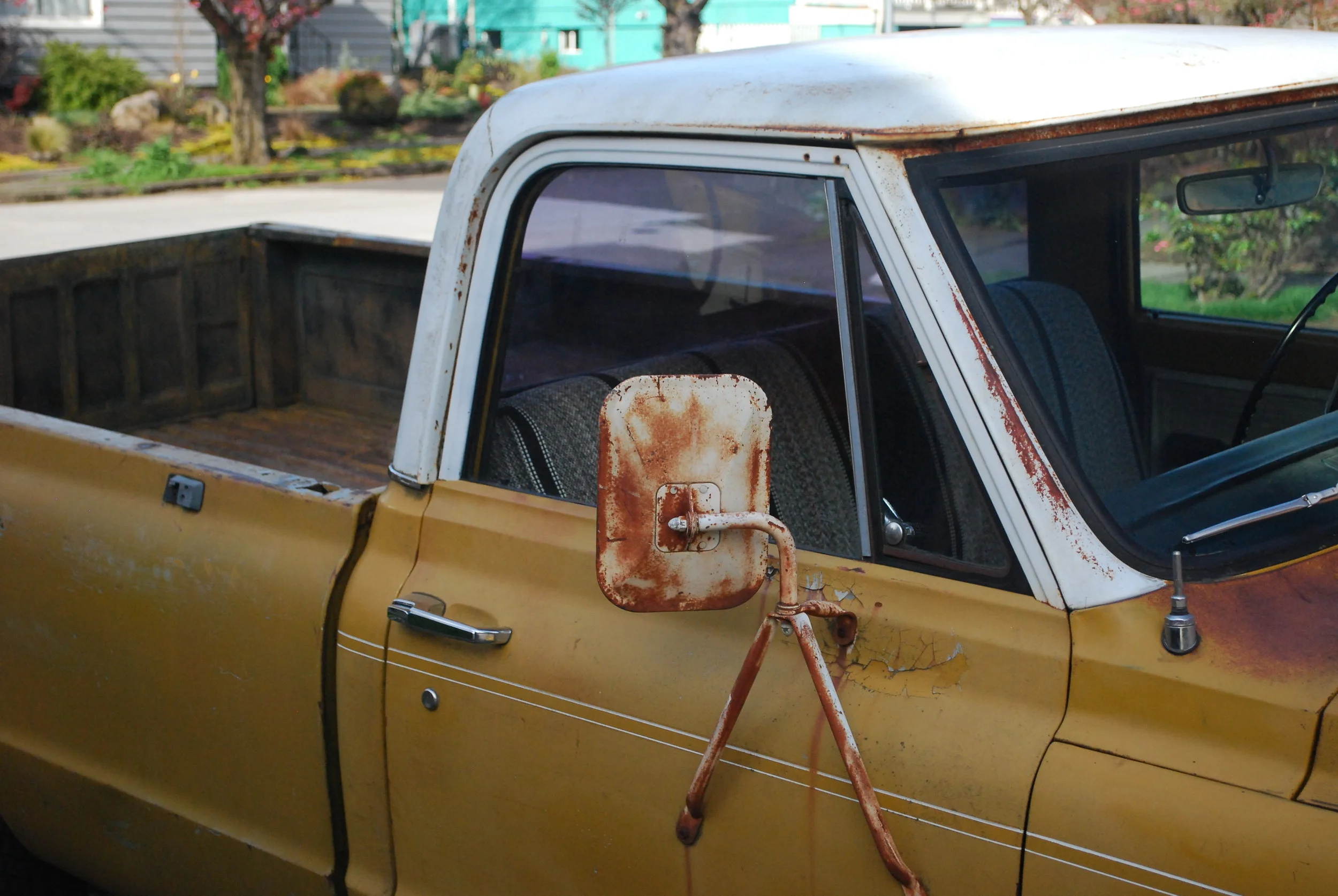 DSC_0799.JPG