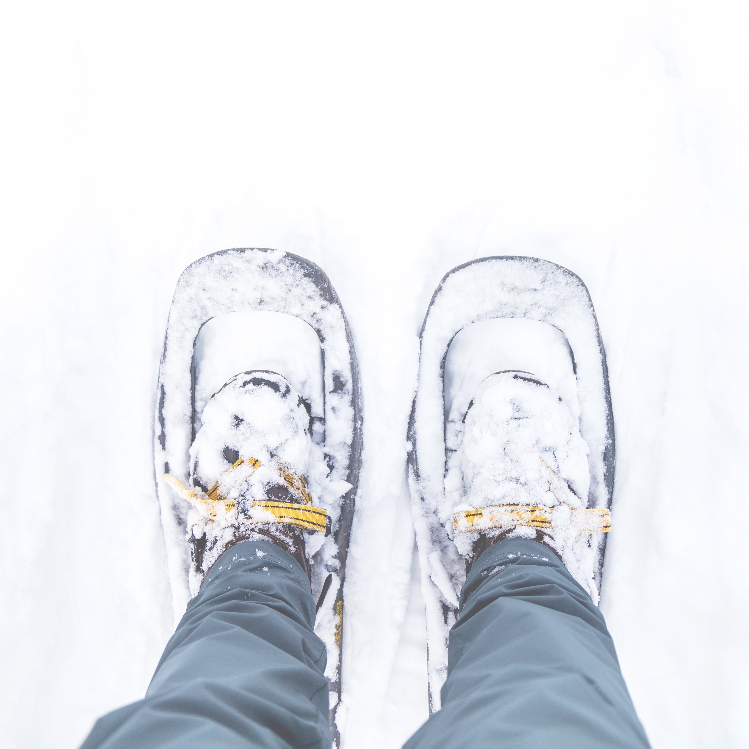 snowshoeing-minnesota.jpg