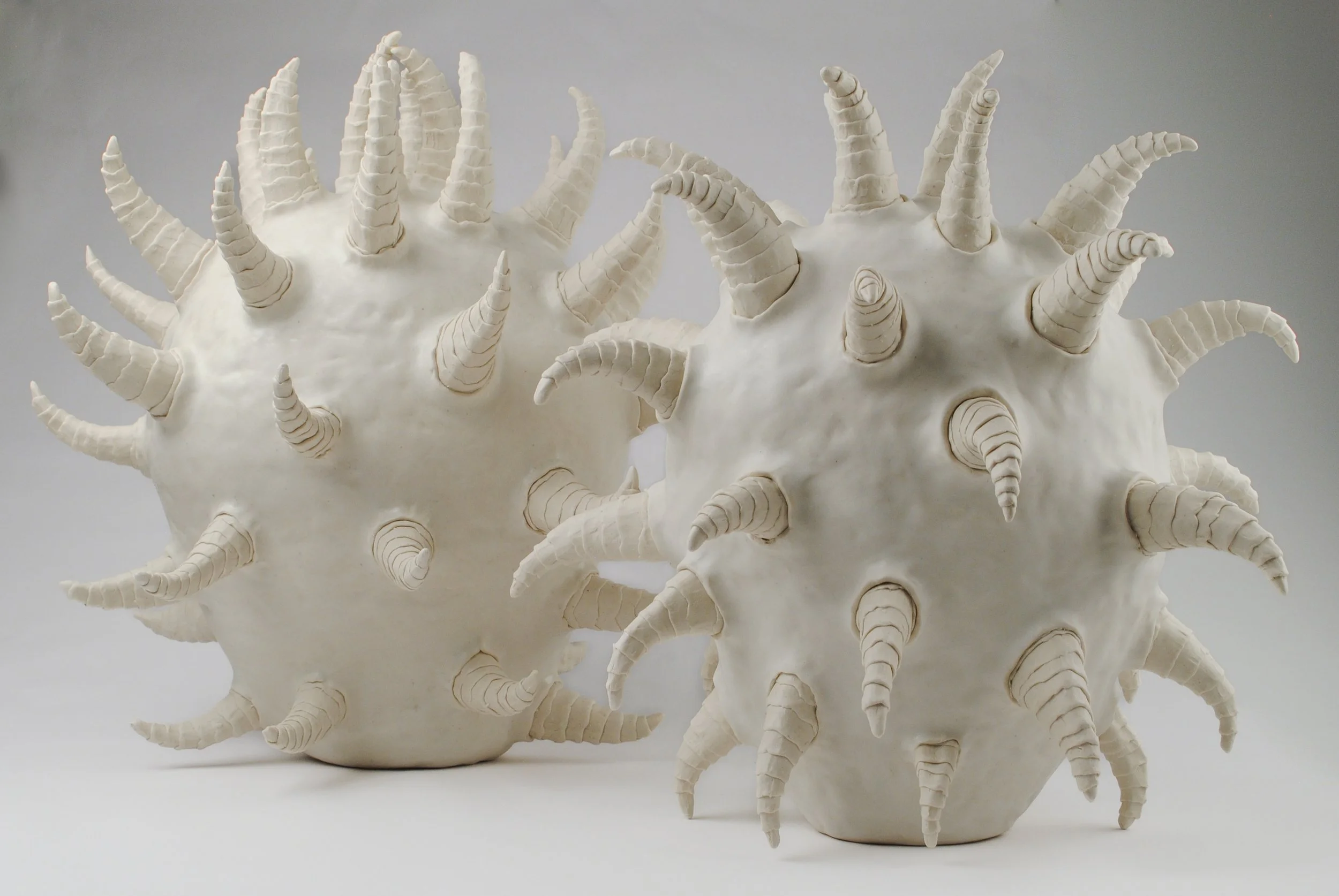 Goat looking, Goat thinking 