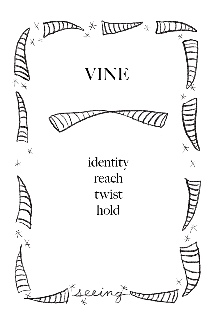 Animal Cards_FINAL3.png