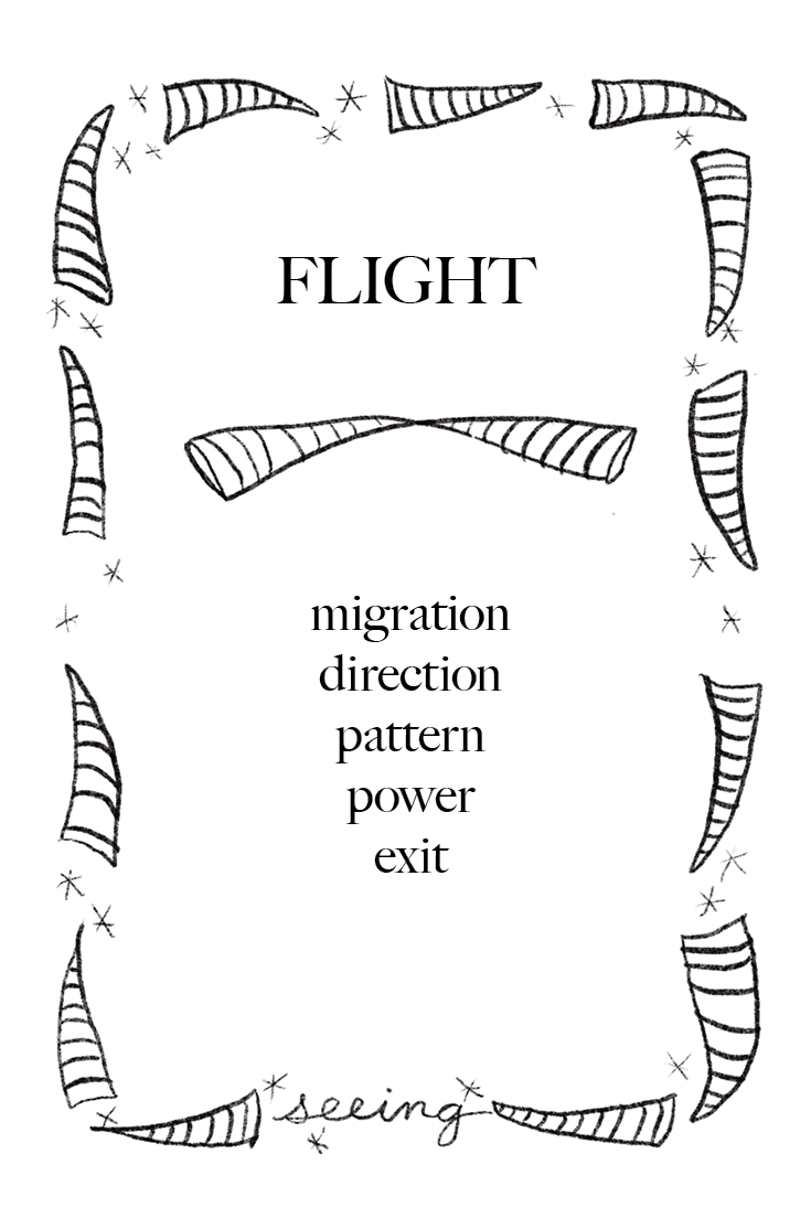 Animal Cards_FINAL4.png