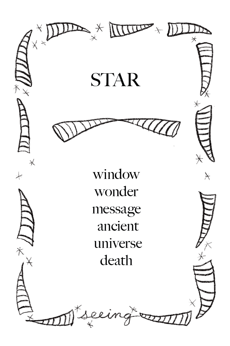 Animal Cards_FINAL10.png