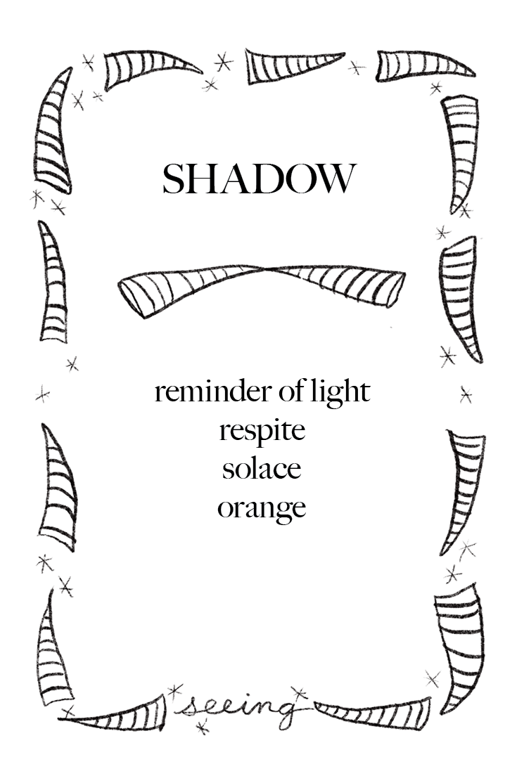 Animal Cards_FINAL16.png