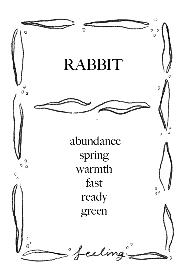 Animal Cards_FINAL27.png