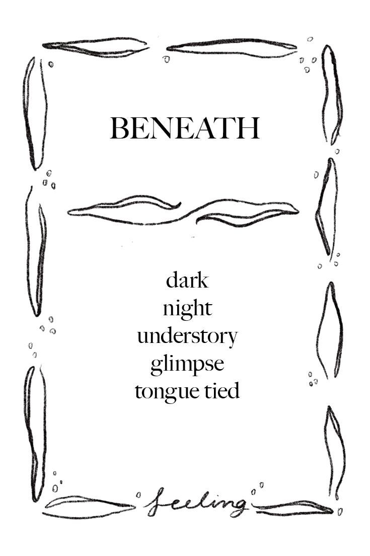 Animal Cards_FINAL28.png