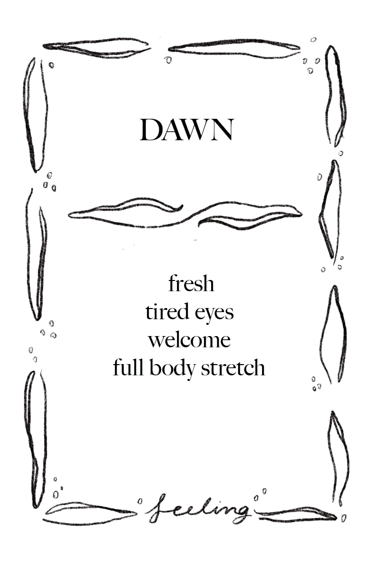 Animal Cards_FINAL31.png