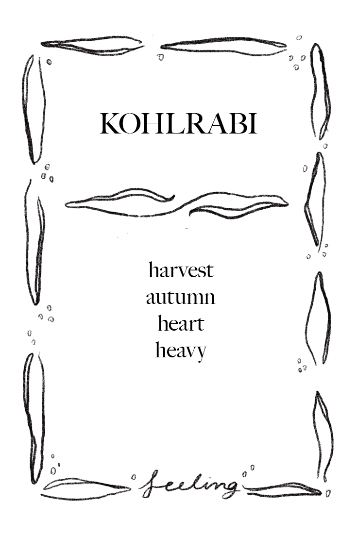 Animal Cards_FINAL34.png