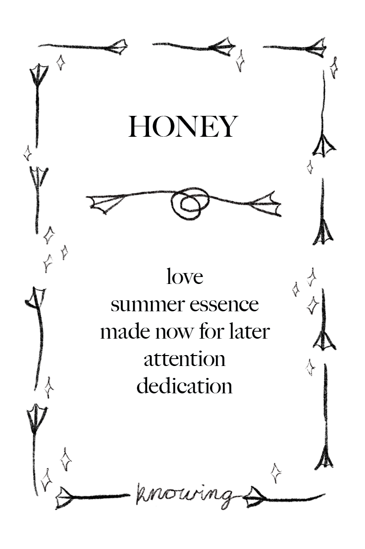 Animal Cards_FINAL45.png