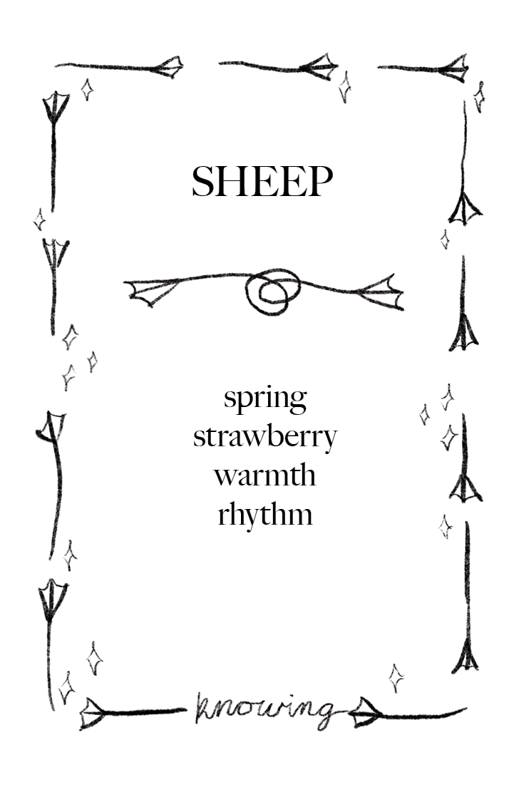 Animal Cards_FINAL52.png