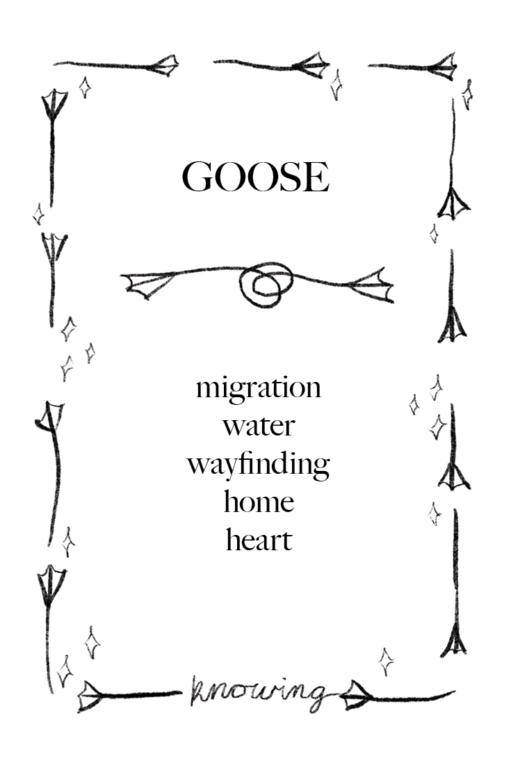 Animal Cards_FINAL54.png