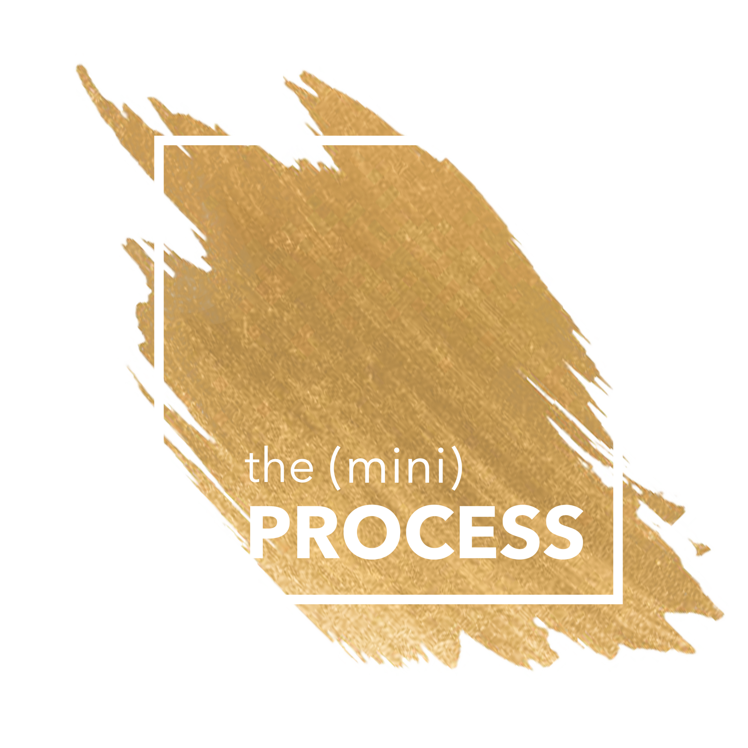 Professional Evaluation - Book