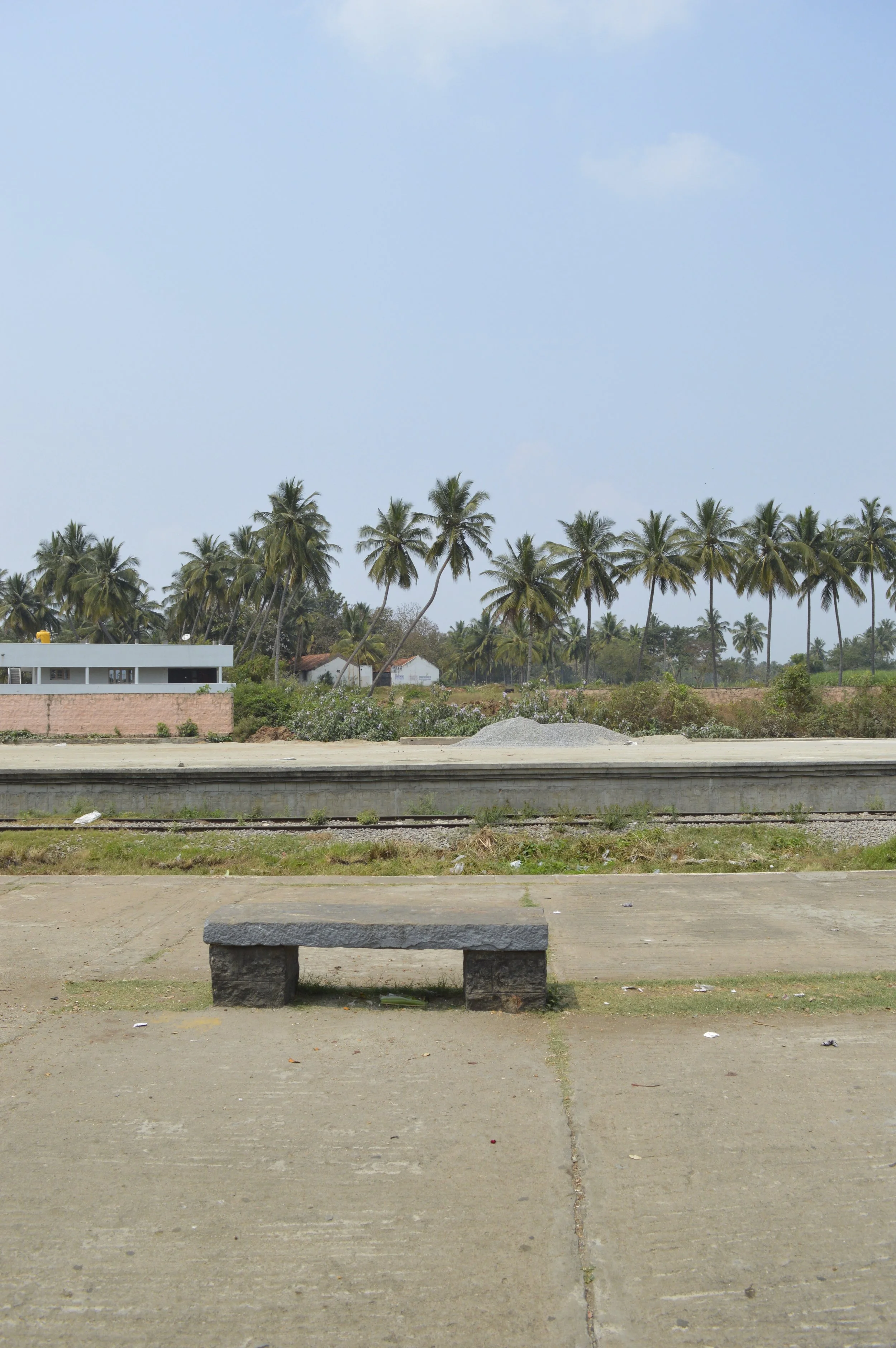 DSC_0056.jpg