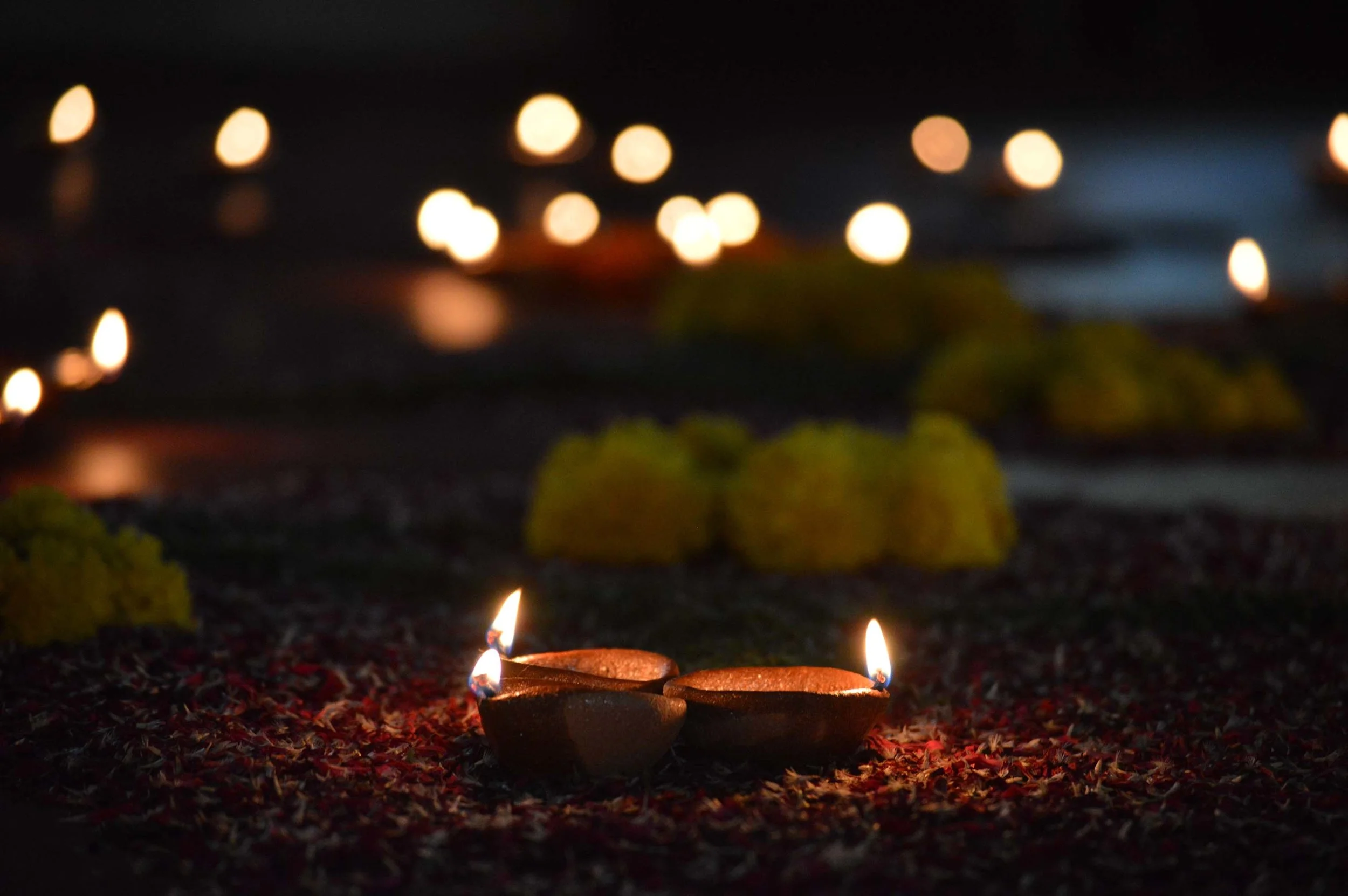 diwali_05.jpg