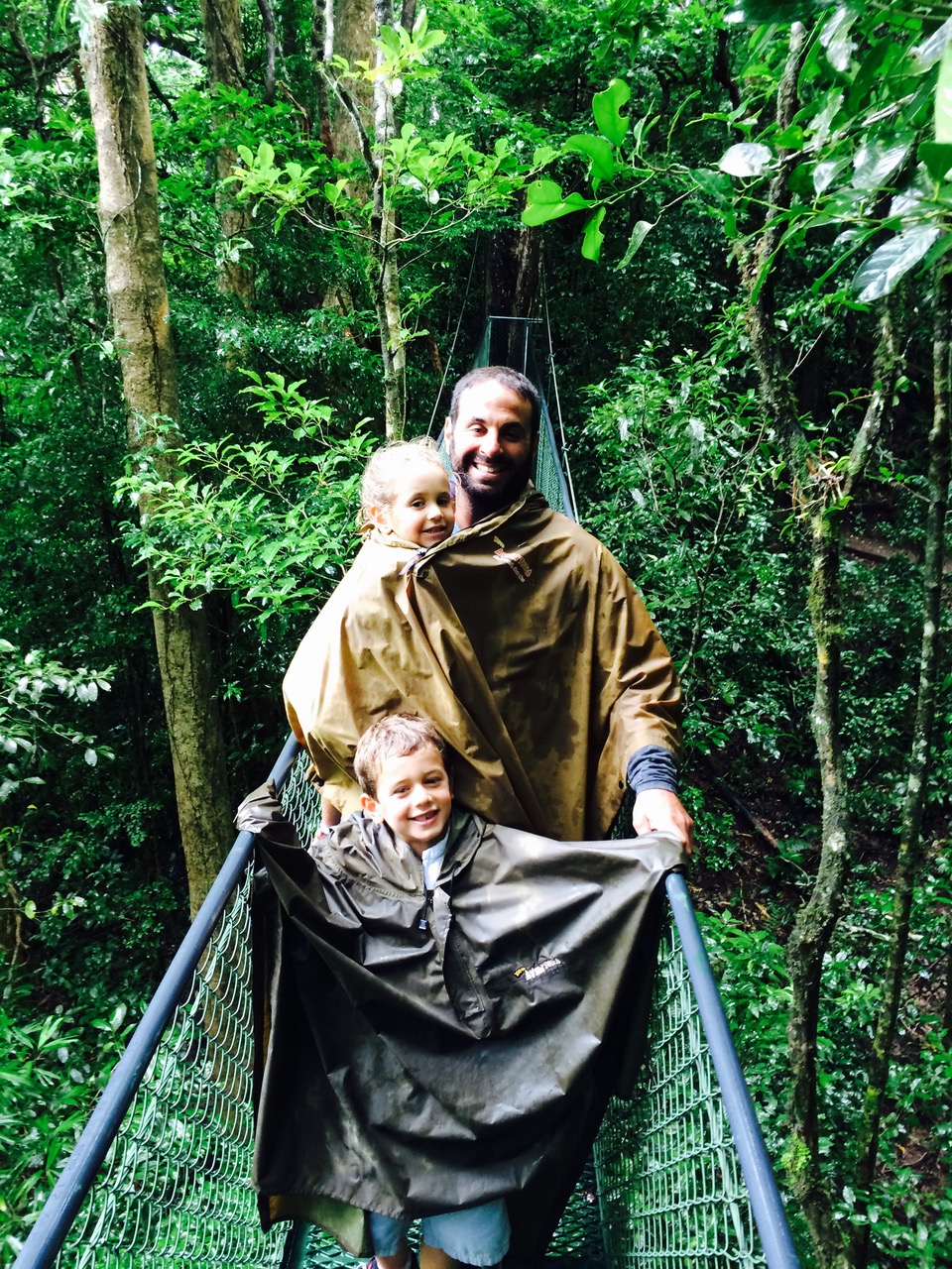 costaricarianforest.jpeg