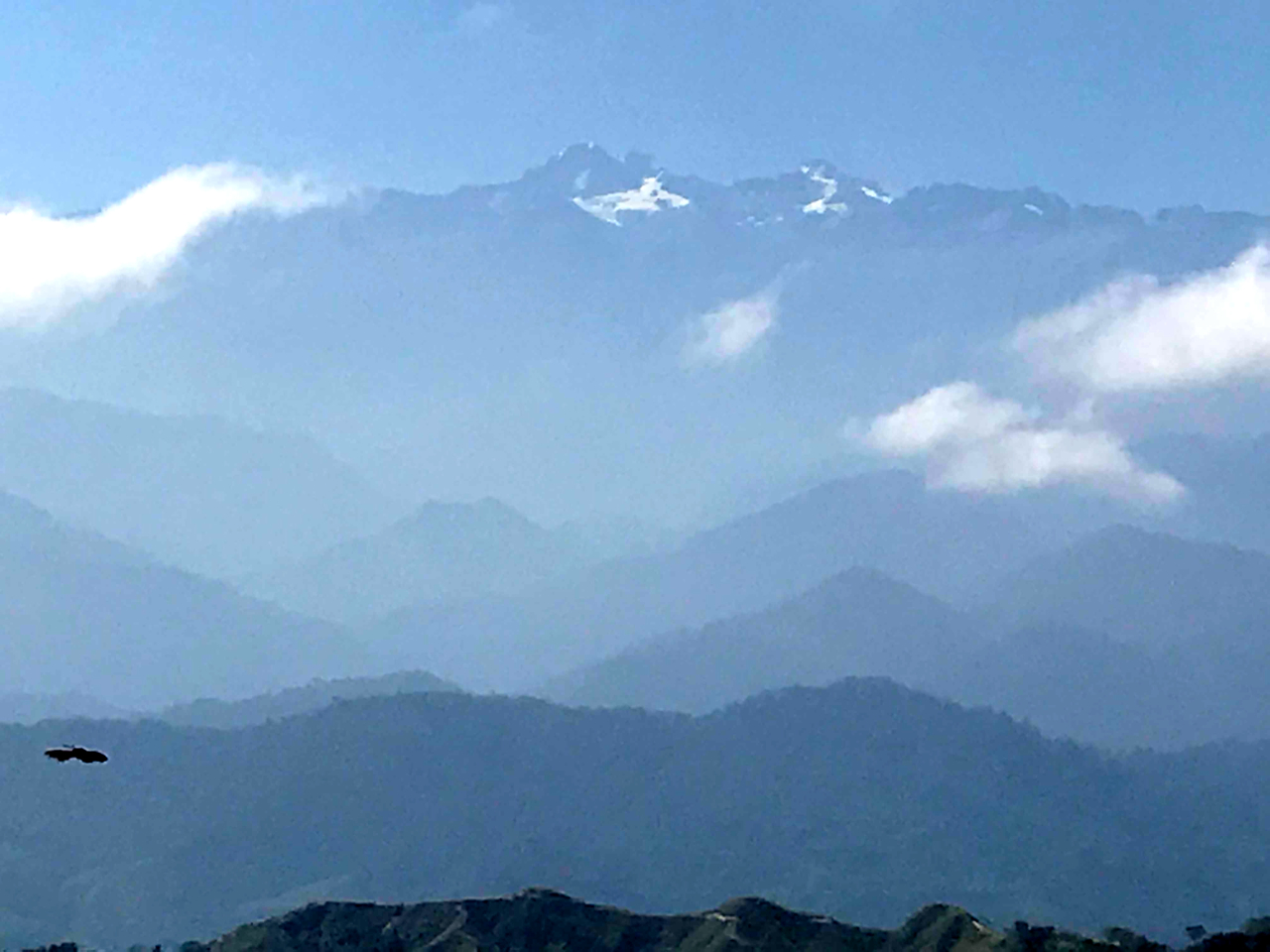 image3.jpeg