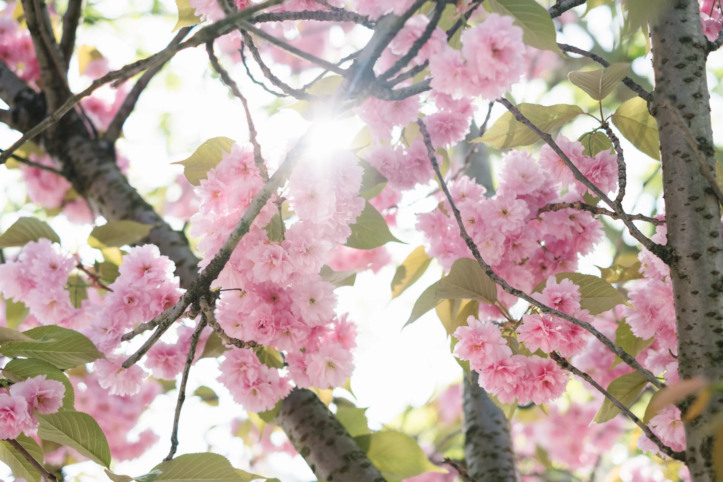 The Great Reset: Thoughts from TTC Co-Founder Jake Haupert