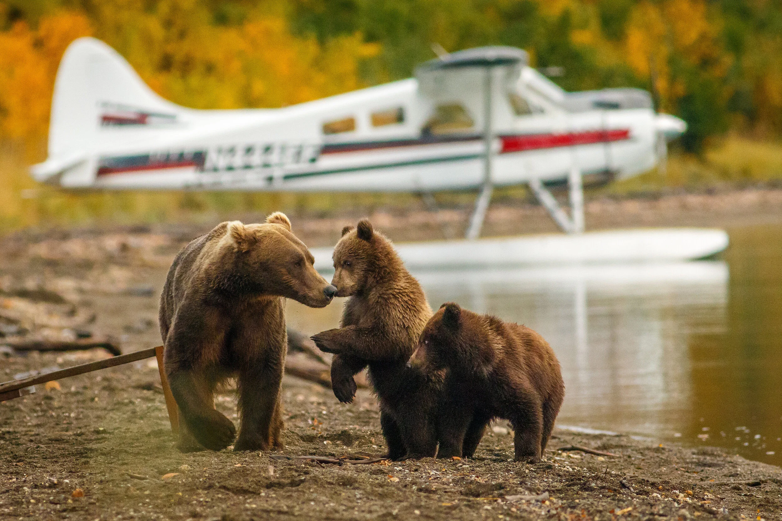 Alaska Adventure Escape 2021