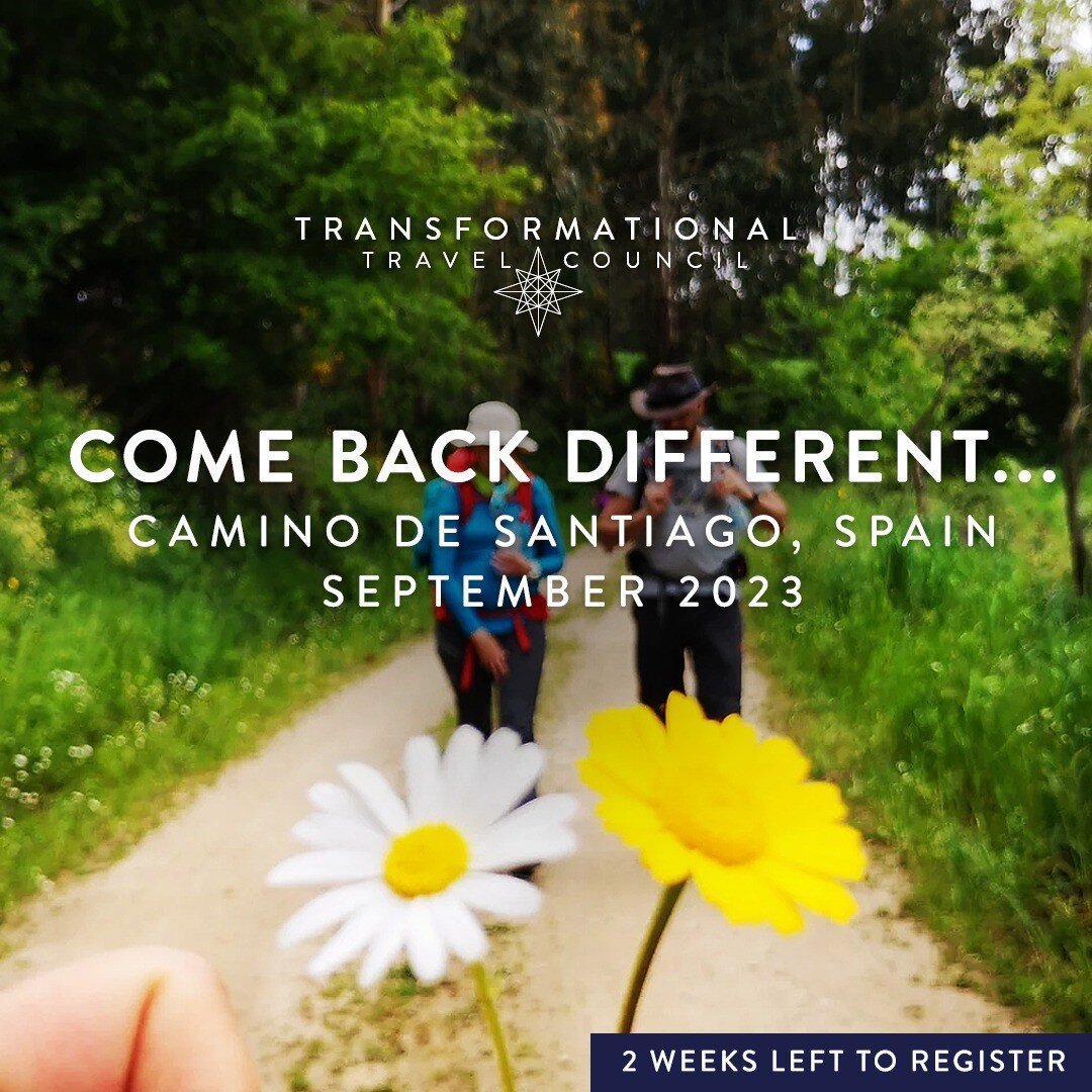 Hosted by TTC Co-Founder Jake Haupert (@jake_haupert) and led by Joao Perre Viana of Walking Mentorship (@walkingmentorship), we bring you a co-created journey following the &quot;Destination You&quot; framework. This transformational methodology hel