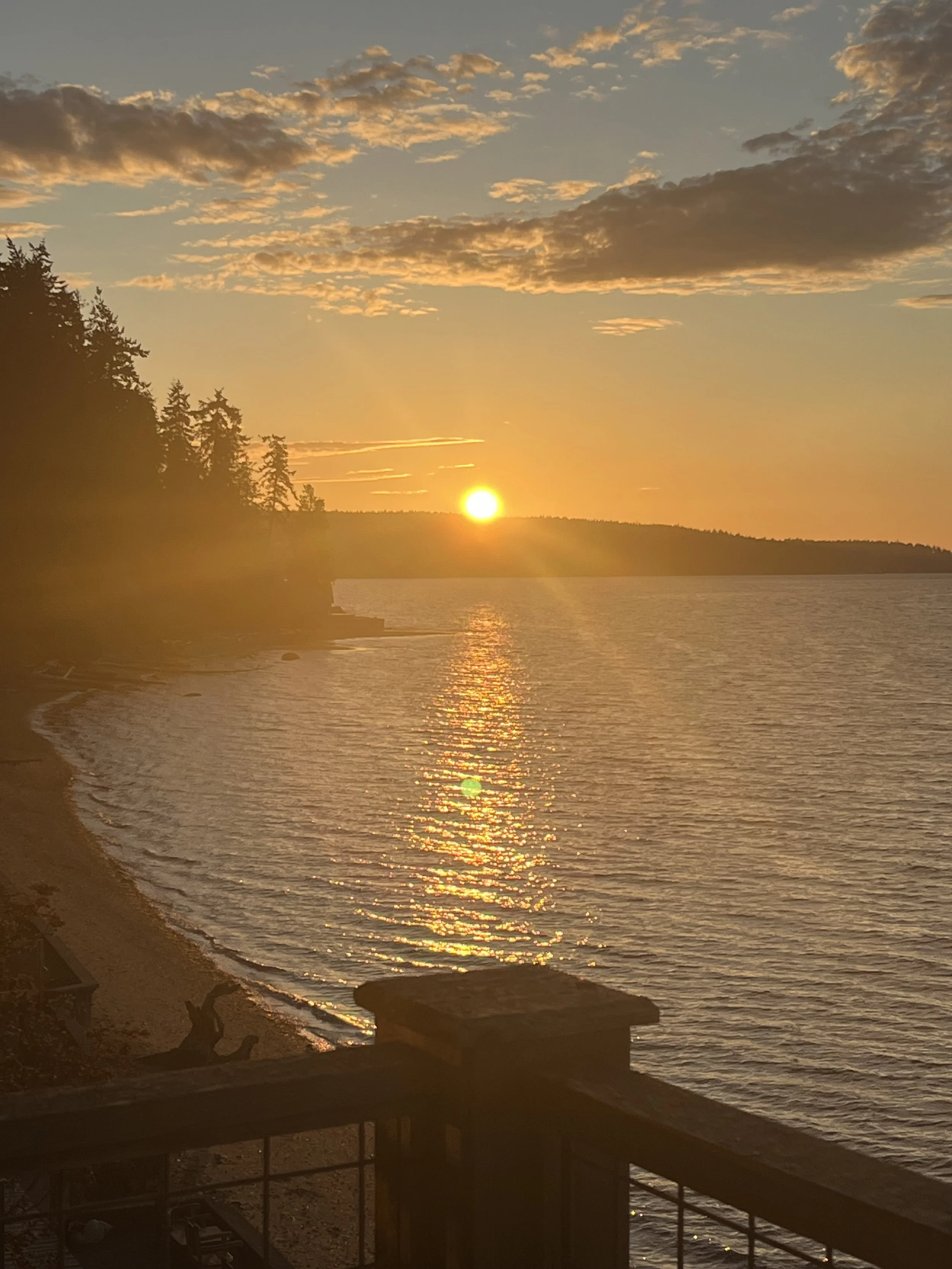 Jake's Weekly Flow #29