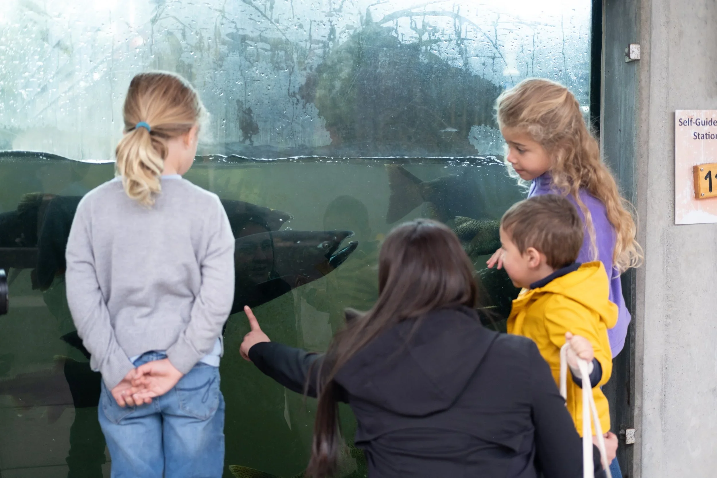 Why Slow Travel Is Gaining Momentum—and Why It Matters