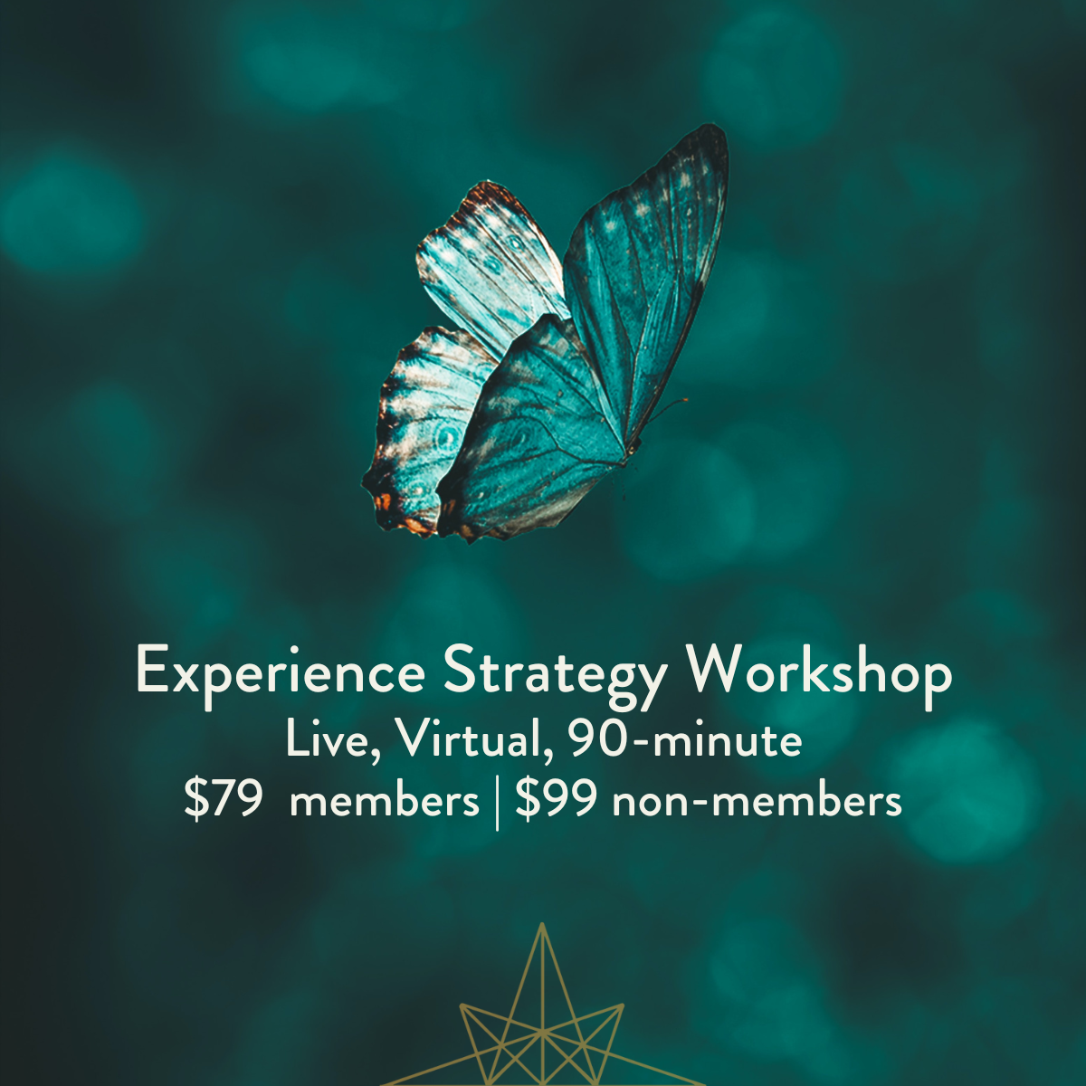 Education Journey Info Session