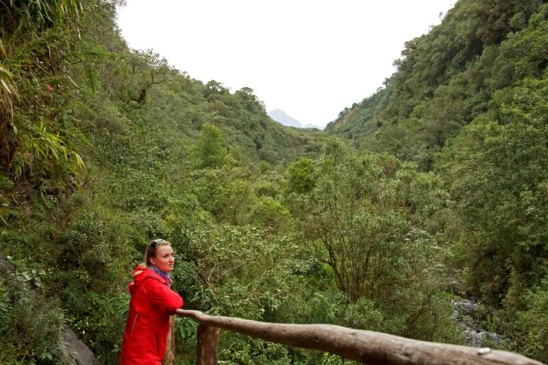 Individual Membership