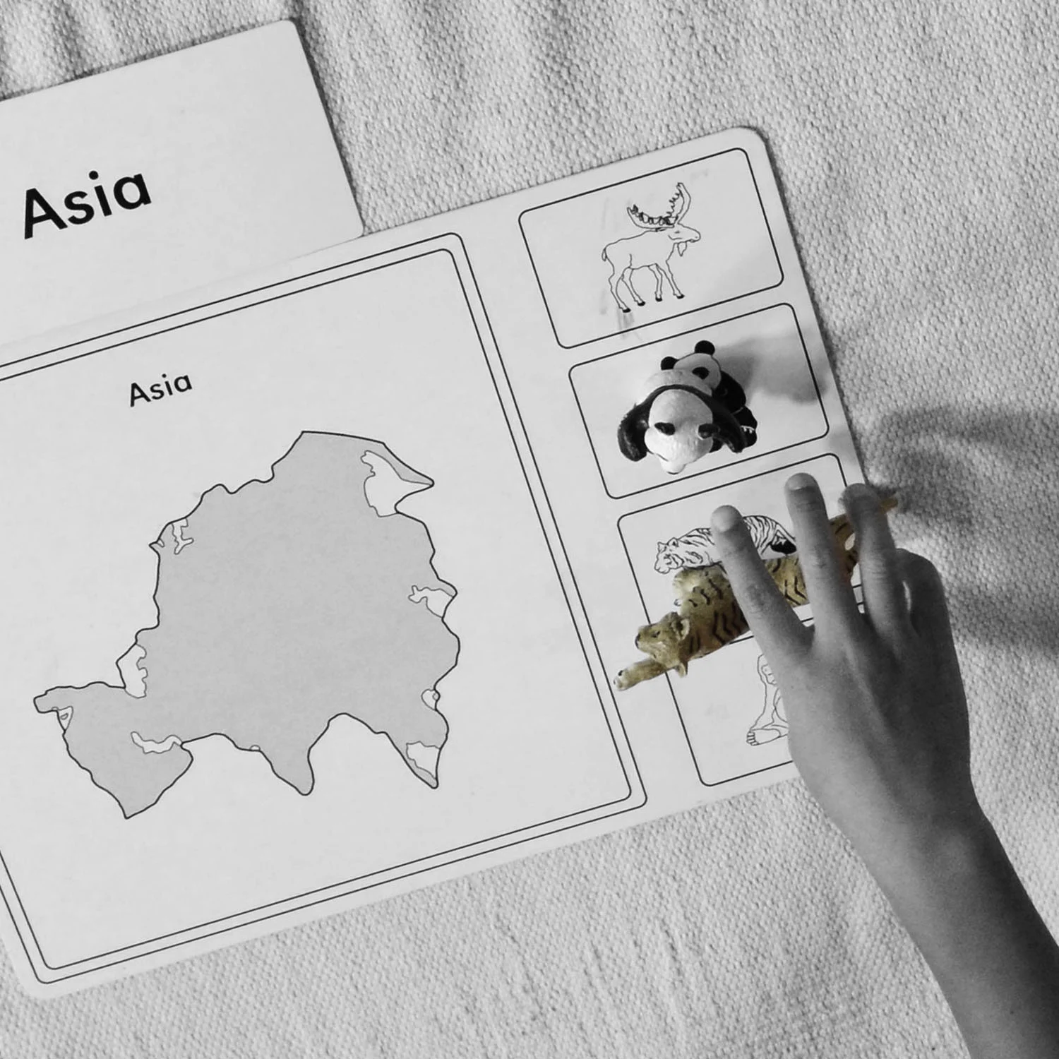 geography_BW.jpg