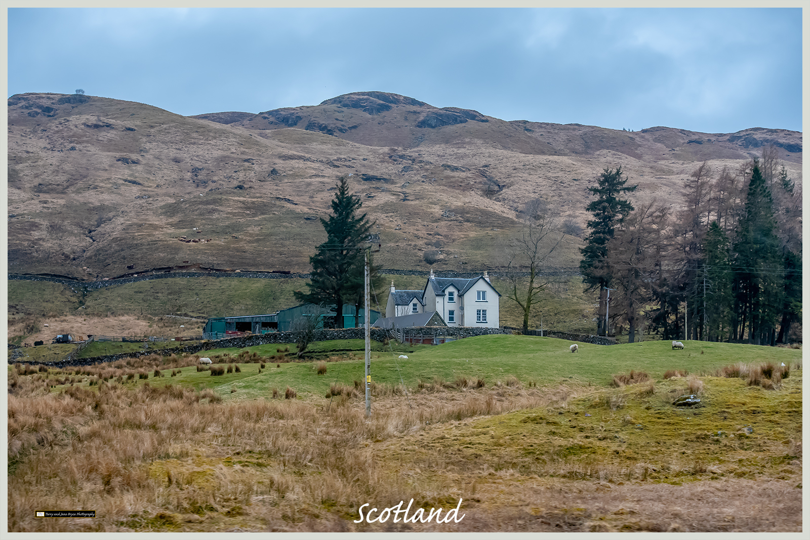 Scotland DSC_2547.jpg