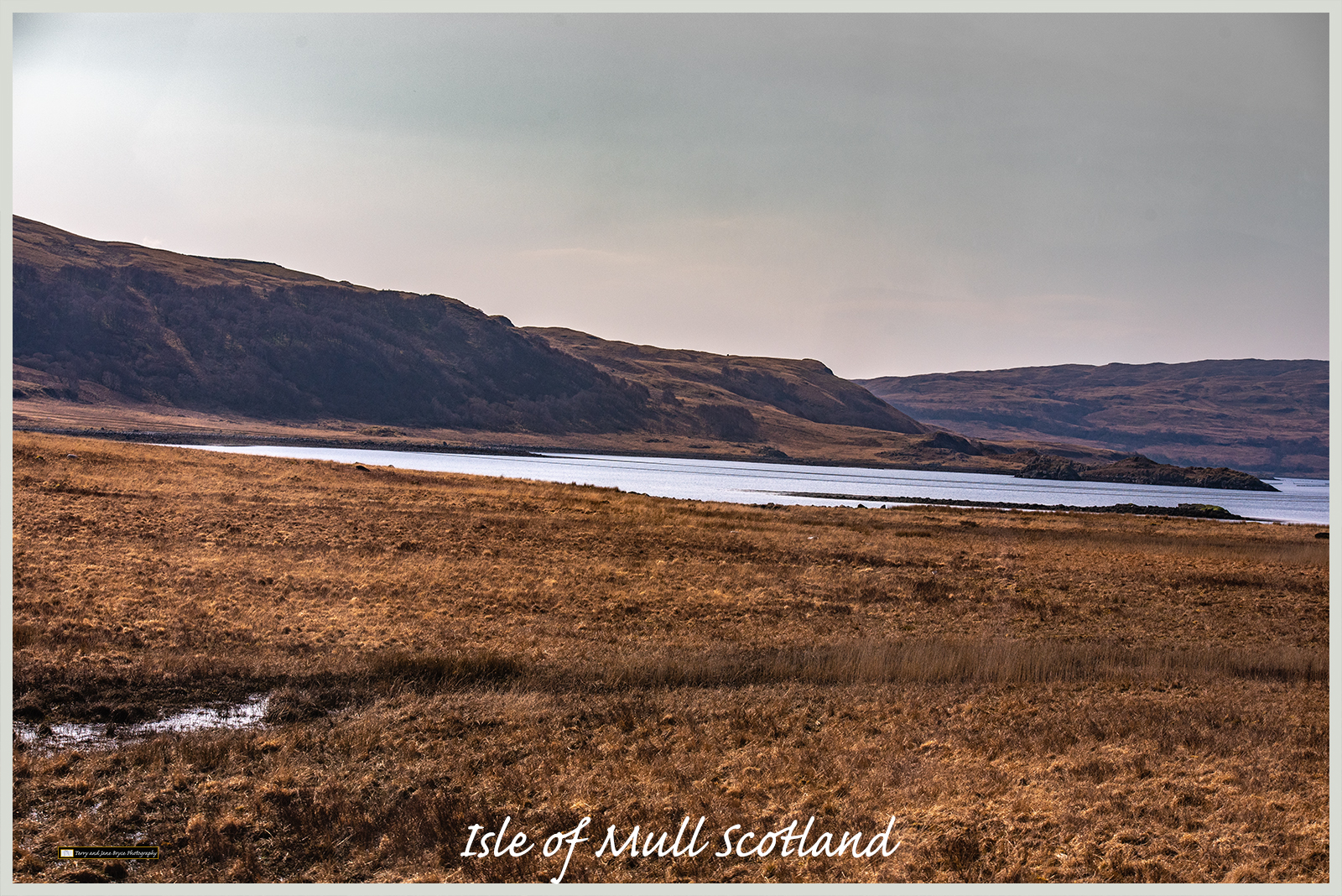 Isle of Mull Scotland DSC_2697.jpg