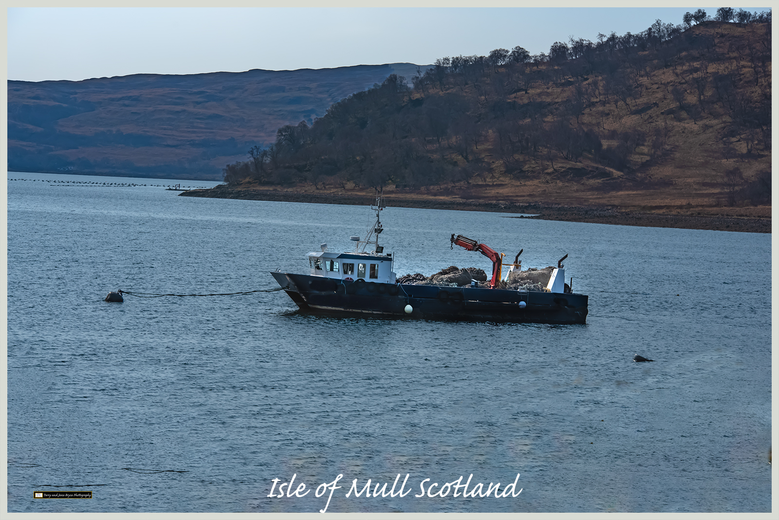Isle of Mull Scotland DSC_2699.jpg