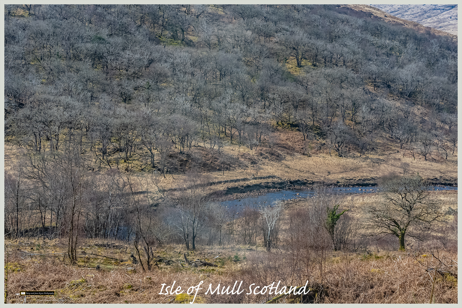 Isle of Mull Scotland DSC_2703.jpg