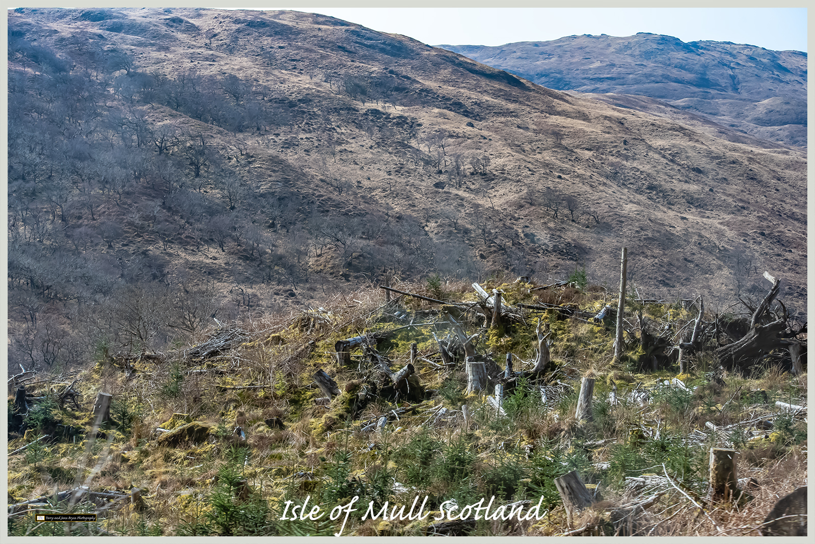 Isle of Mull Scotland DSC_2705.jpg