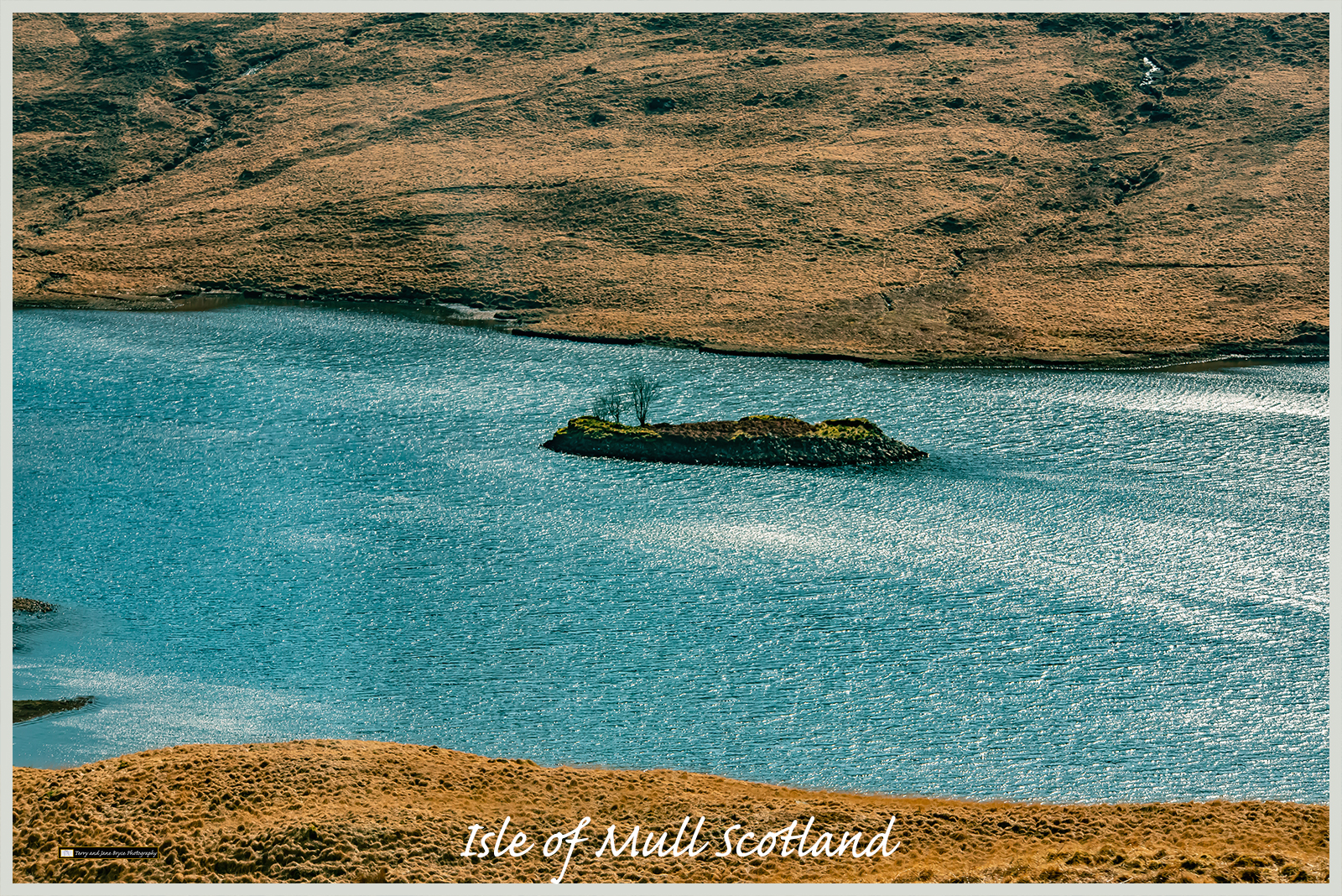 Isle of Mull Scotland DSC_2708.jpg