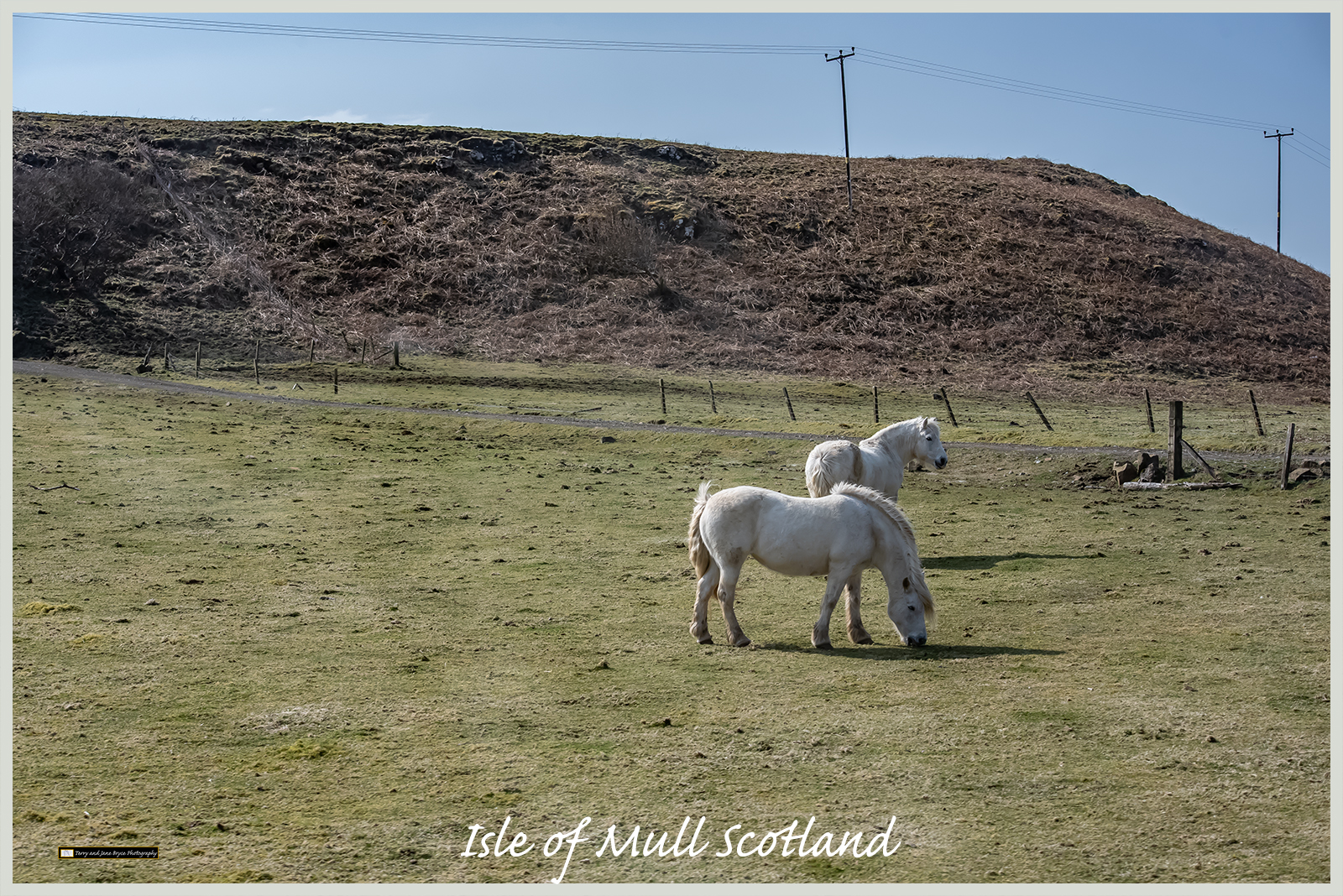 Isle of Mull Scotland DSC_2714.jpg