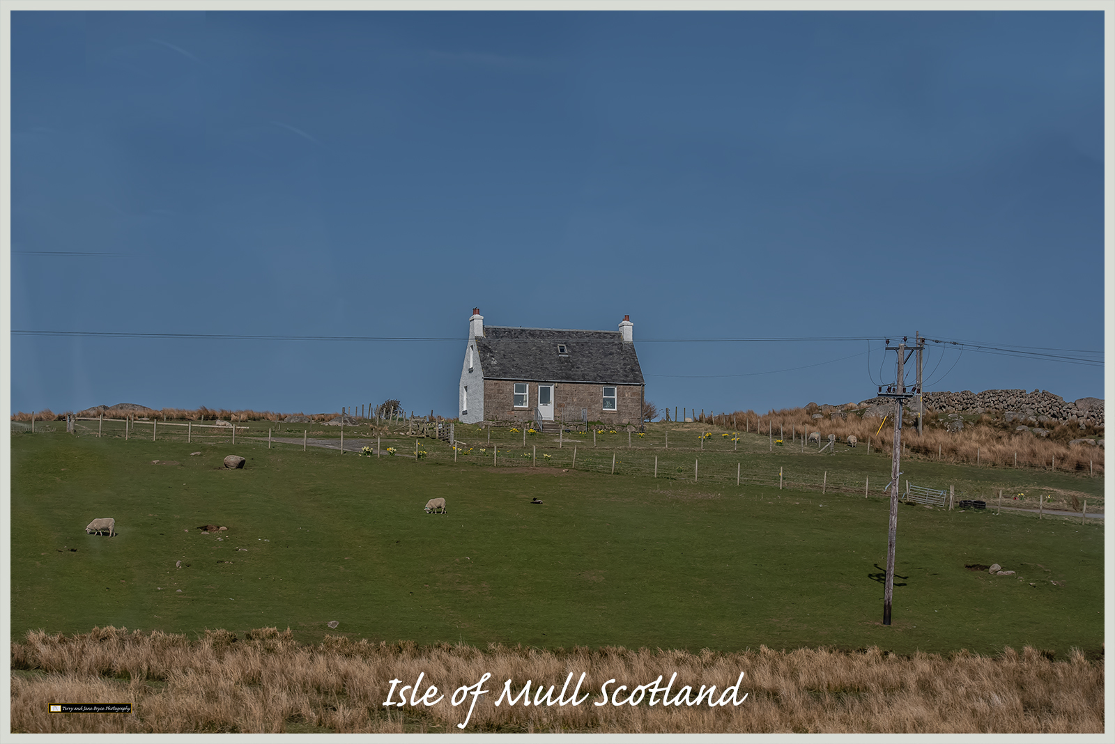 Isle of Mull DSC_2812.jpg