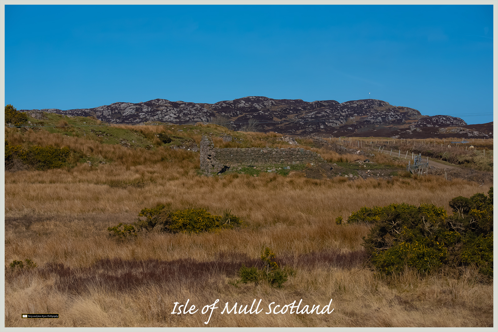 Isle of Mull DSC_2813.jpg