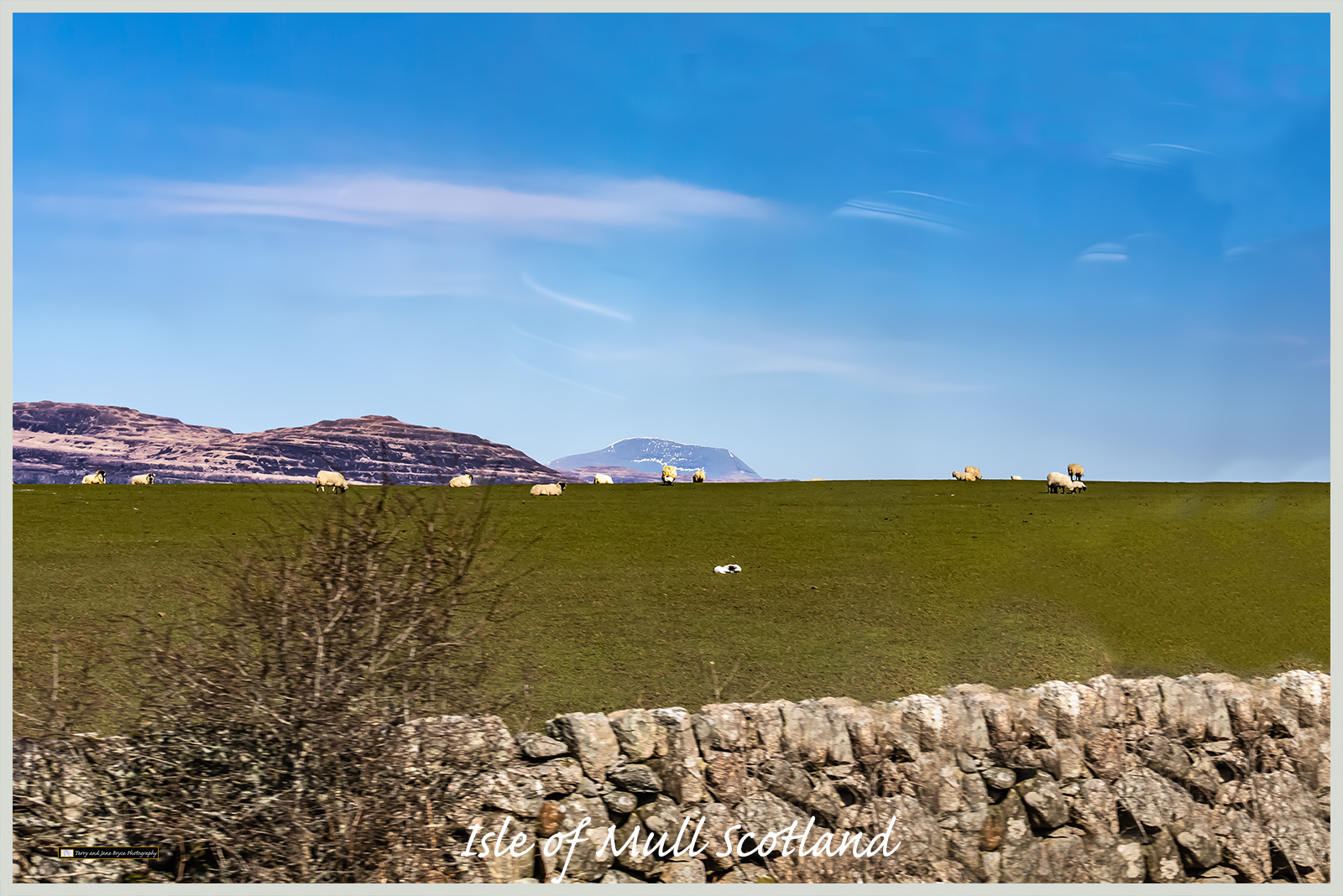 Isle of Mull Scotland DSC_2814.jpg
