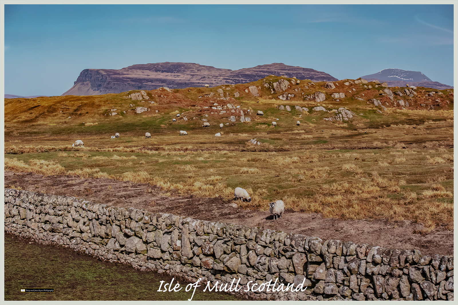 Isle of Mull Scotland DSC_2815.jpg