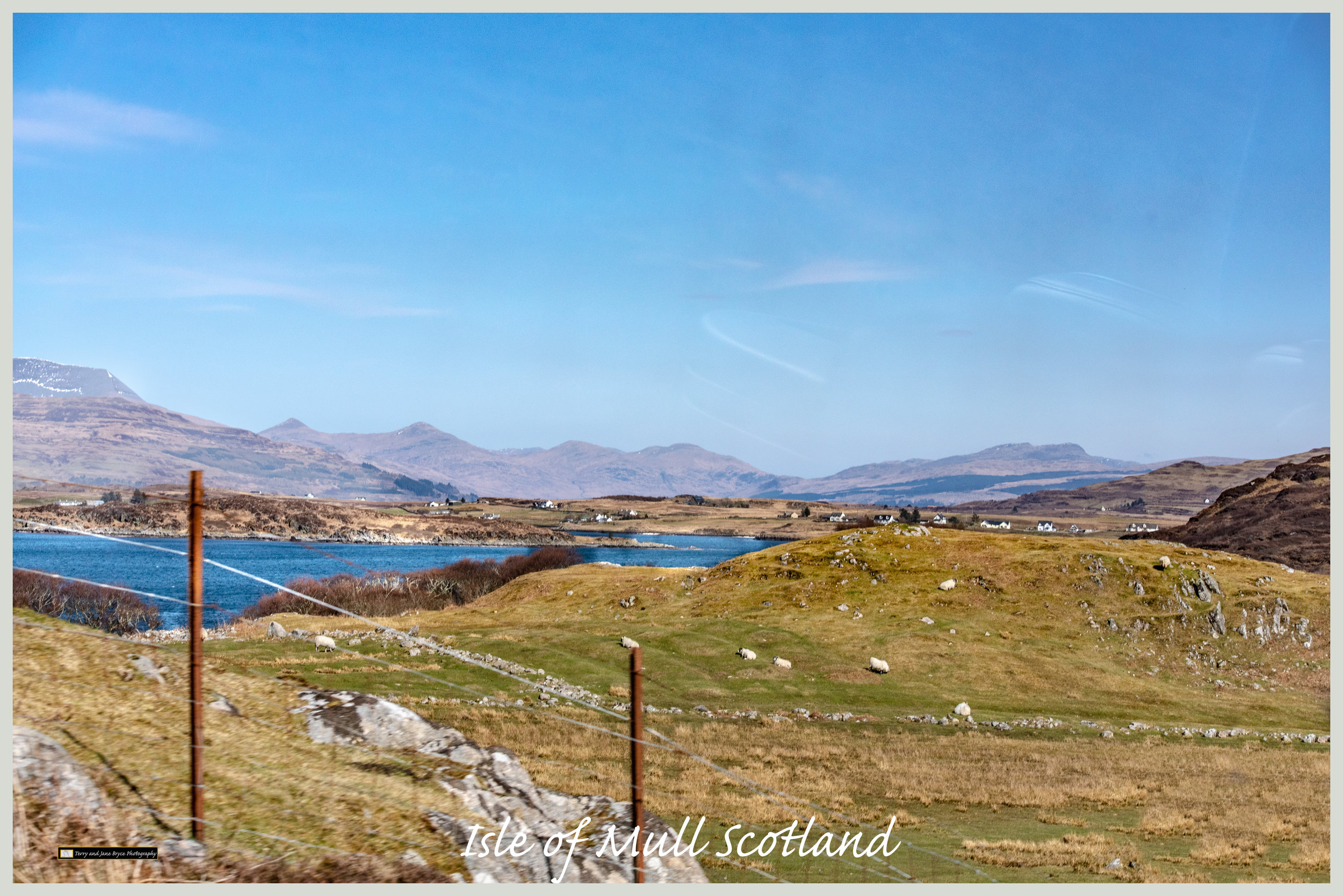 Isle of Mull Scotland DSC_2817.jpg