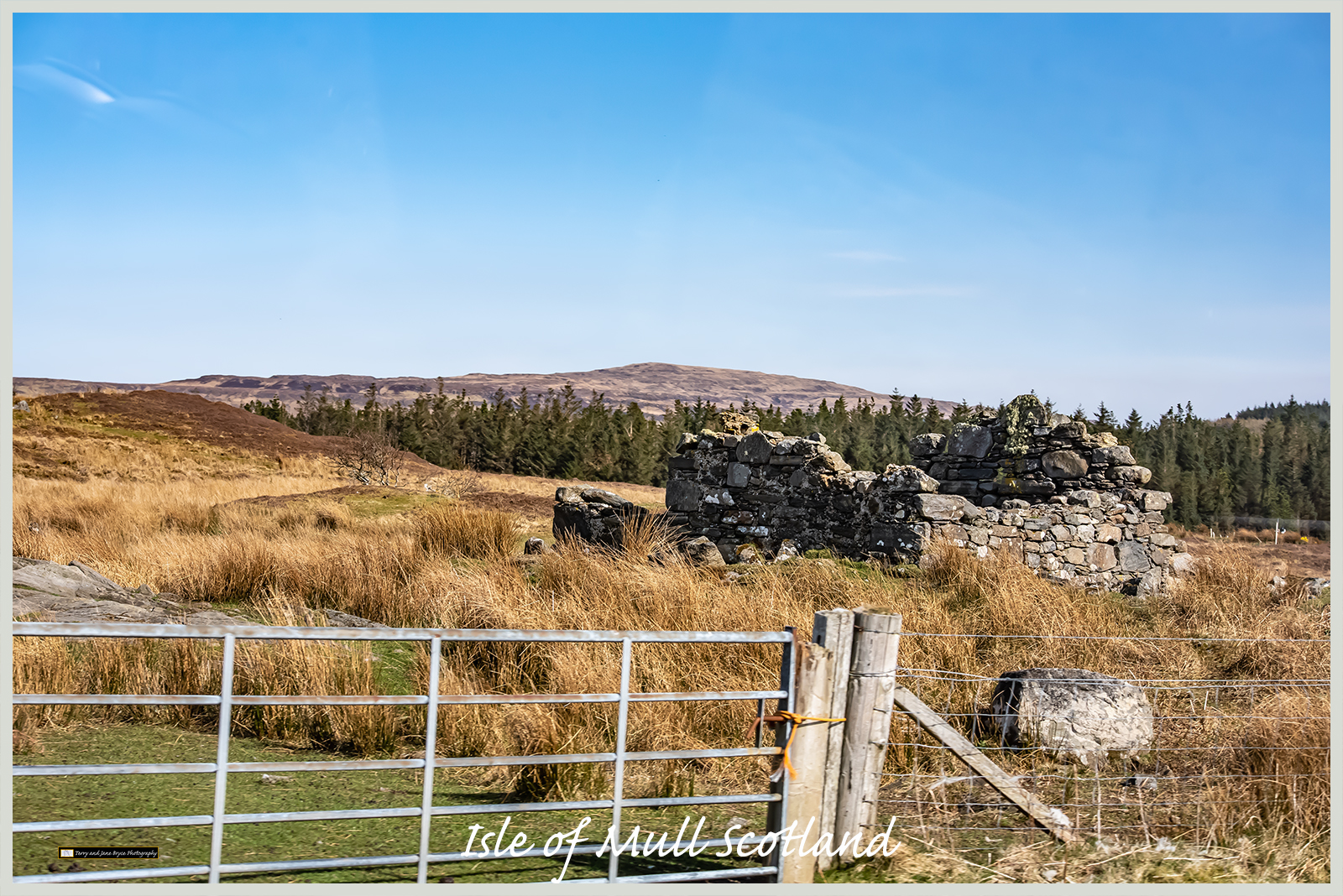 Isle of Mull Scotland DSC_2820.jpg