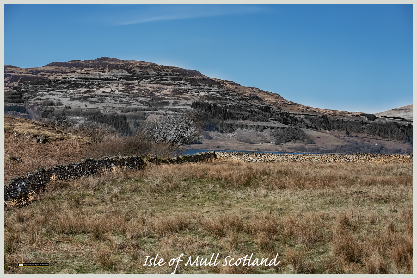 Isle of Mull Scotland DSC_2862.jpg