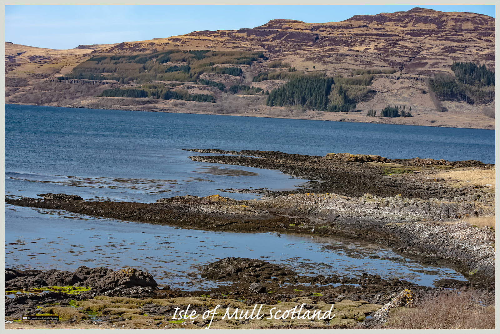 Isle of Mull Scotland DSC_2869.jpg
