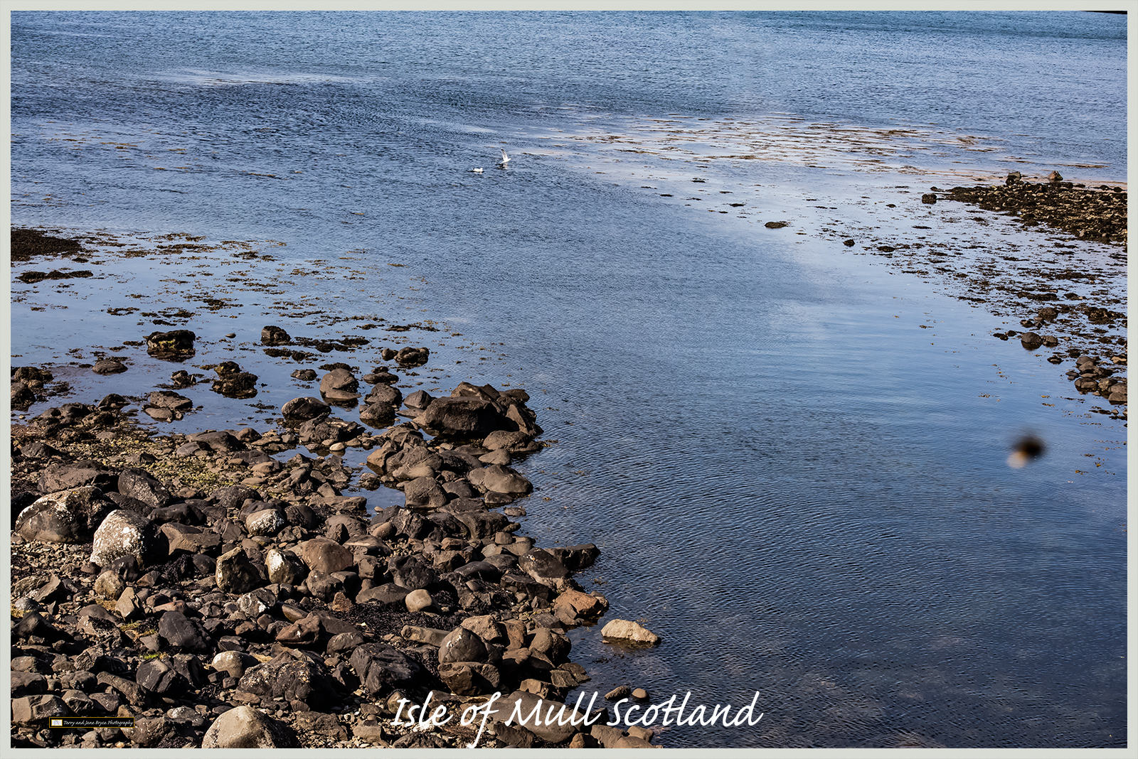 Isle of Mull Scotland DSC_2893.jpg