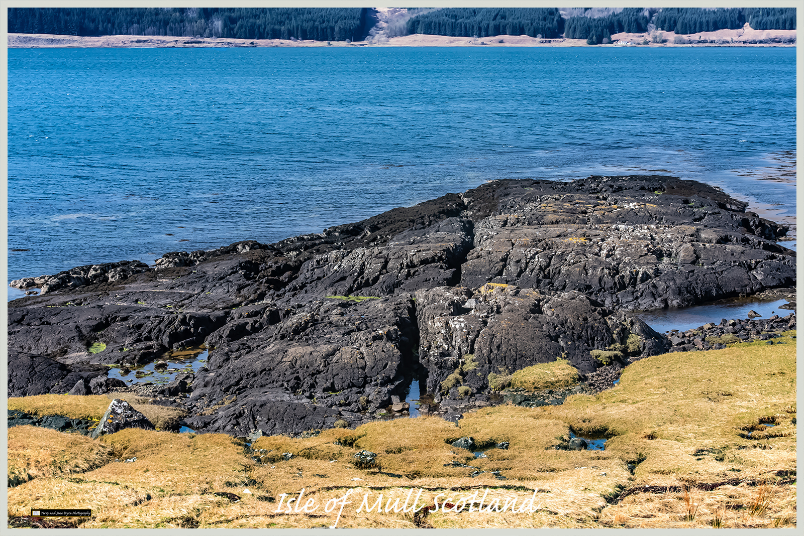Isle of Mull Scotland DSC_2897.jpg