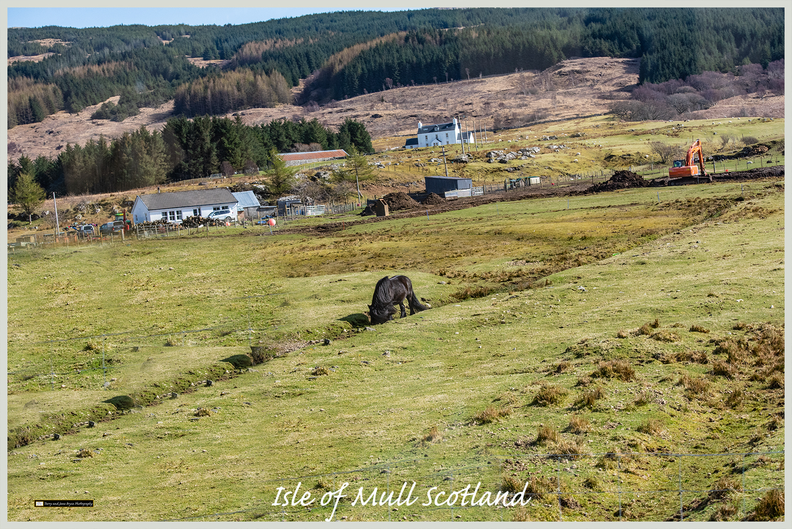Isle of Mull Scotland DSC_2905.jpg