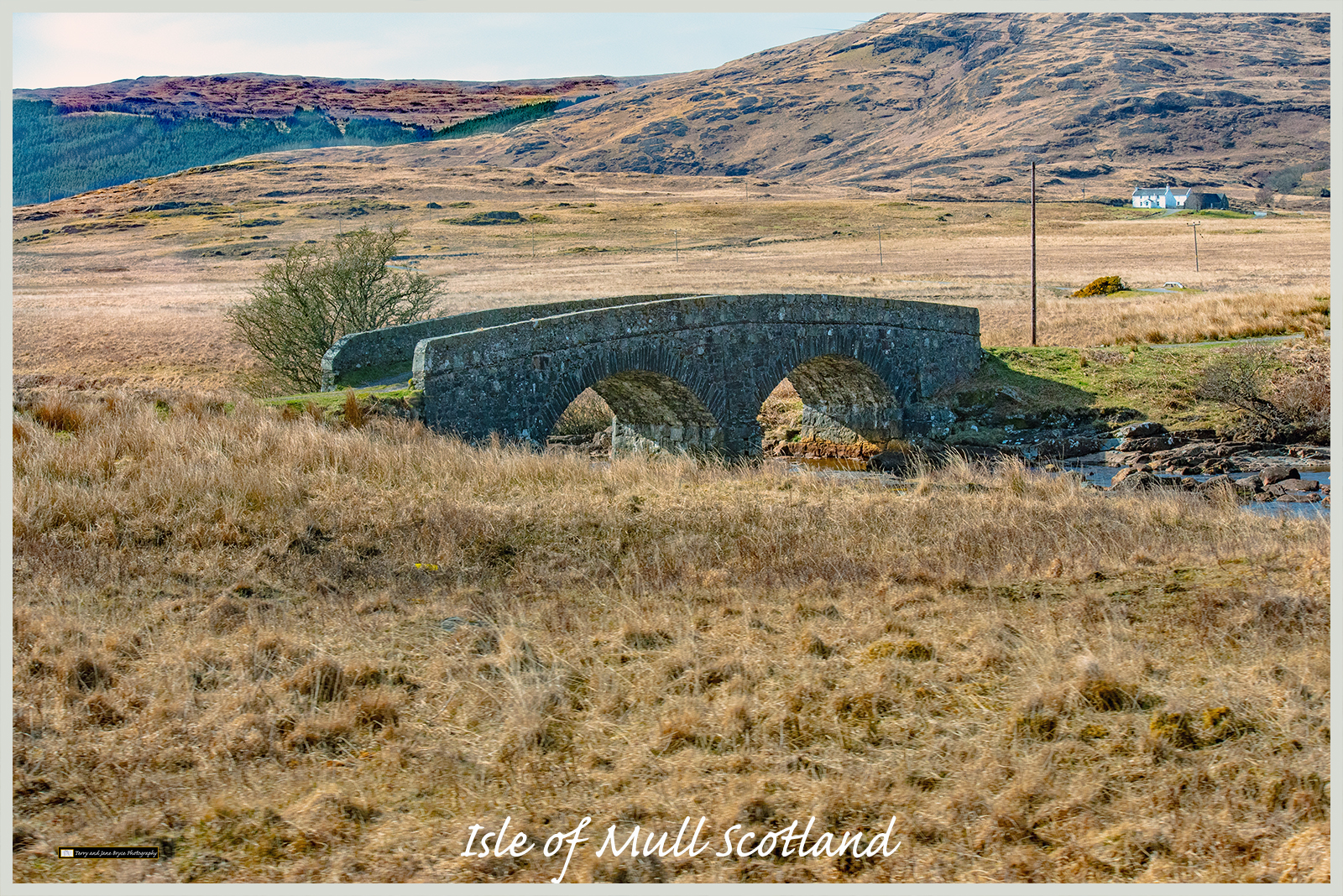 Isle of Mull Scotland DSC_2908.jpg