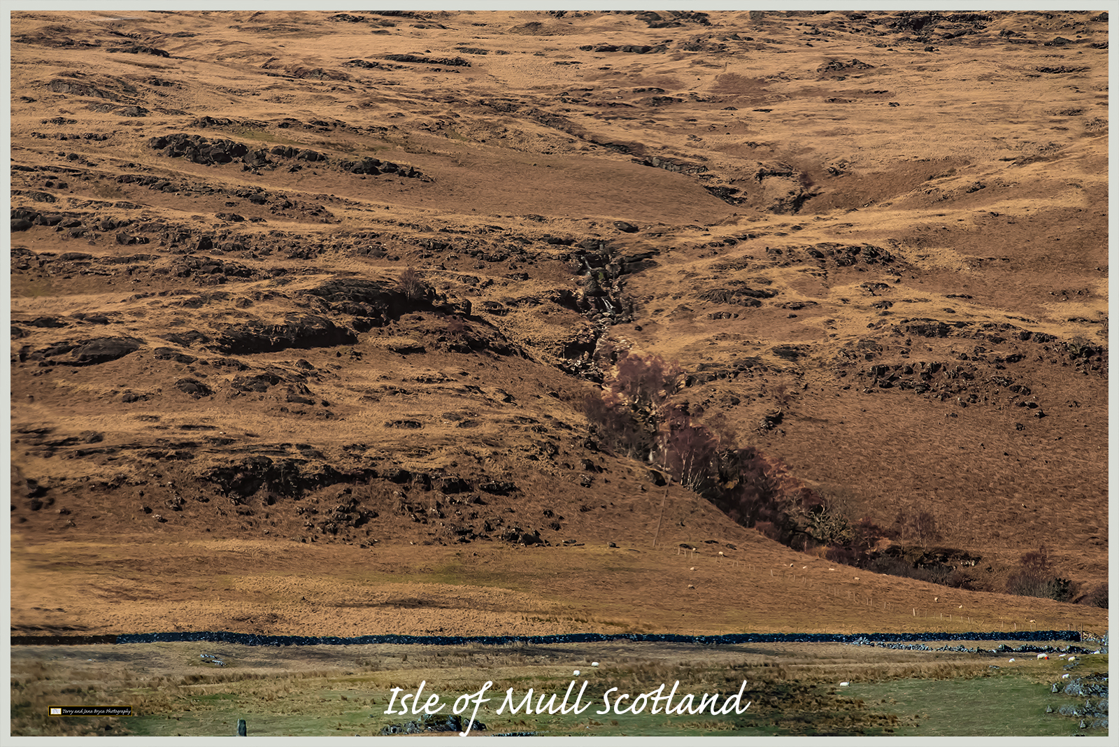 Isle of Mull Scotland DSC_2912.jpg