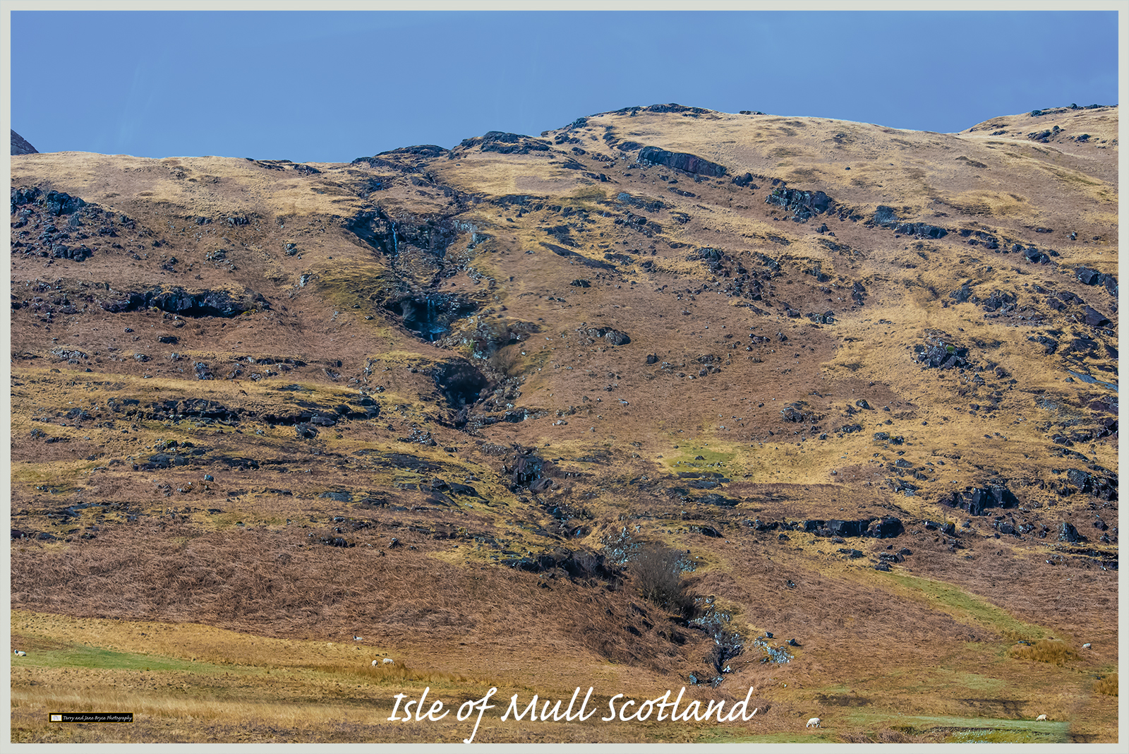 Isle of Mull Scotland DSC_2917.jpg