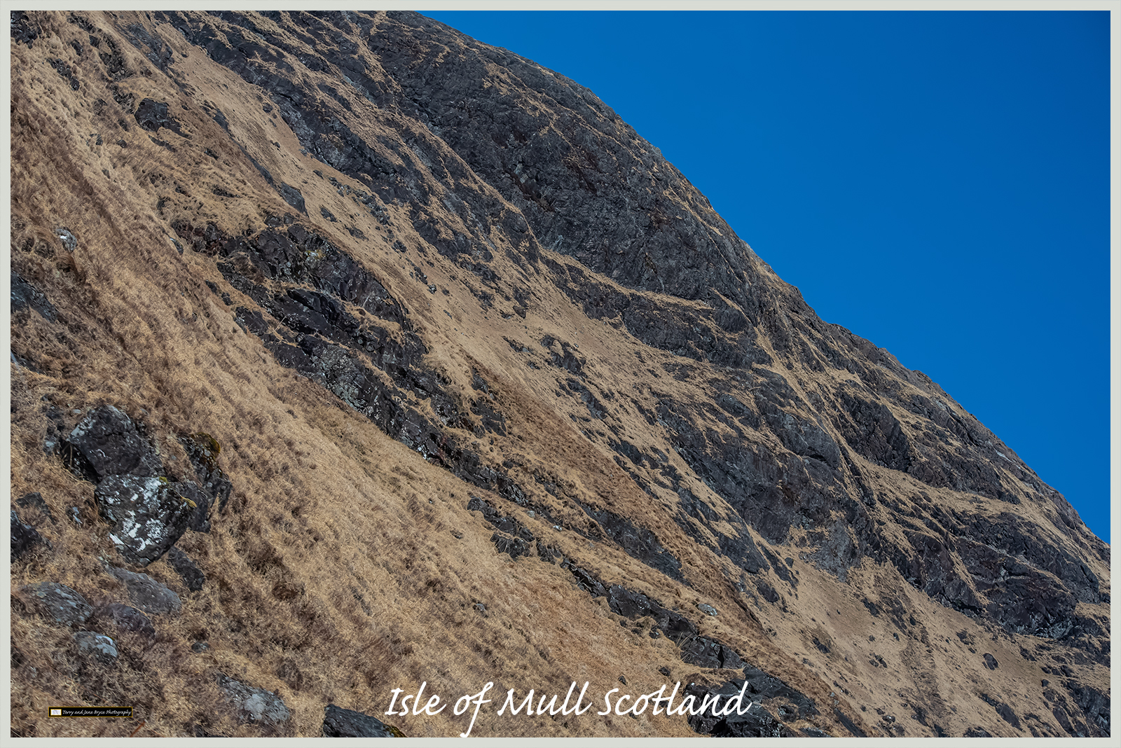 Isle of Mull Scotland DSC_2941.jpg